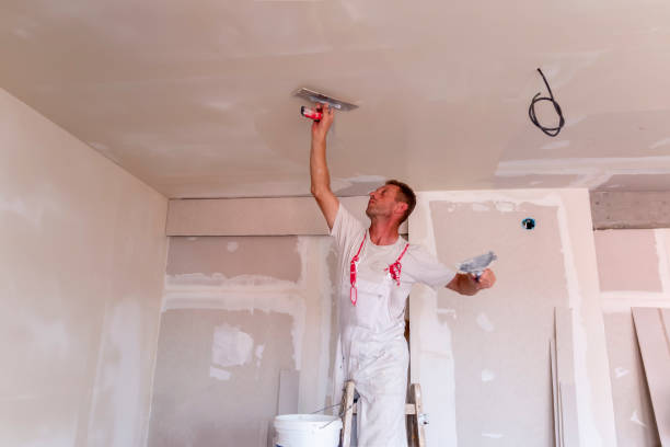 Best Acoustic or Soundproof Drywall Installation  in East Tawas, MI